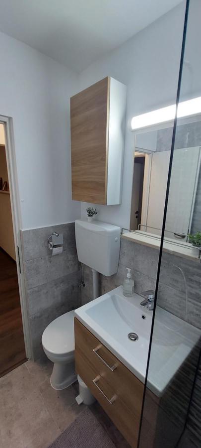 Twin Apartments Sibiu Extérieur photo